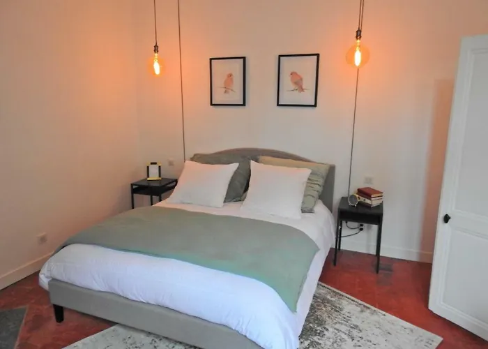 Magnifiques Appartements Hyper Centre